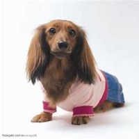 可爱狗头像情侣头像