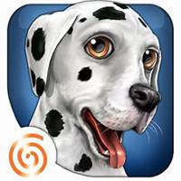 可爱狗头像中华田园犬