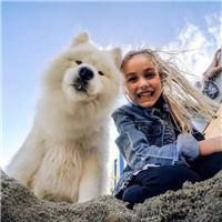 可爱狗狗头像情侣头像