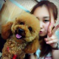 可爱狗狗头像可爱