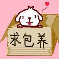 可爱狗头像情侣头像