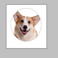 可爱狗狗头像二次元