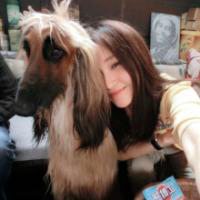 可爱狗狗头像图