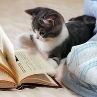 可爱狗头像情侣头像