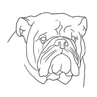 男人和狗头像卡通头像