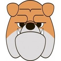 戴圣诞帽卡通狗头像