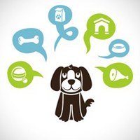 熊猫狗头像卡通