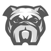 傻狗狗头像卡通