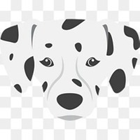 熊猫狗头像卡通