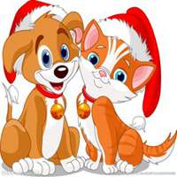 熊猫狗头像卡通