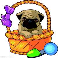 美甲小狗头像卡通