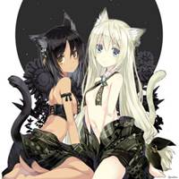 白色猫耳女头像动漫头像 白色猫耳女头像动漫头像