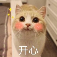 猫头像可爱动态图片卡通