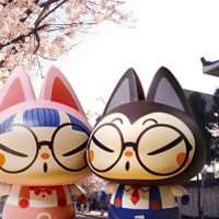 猫猫头像闺蜜可爱头像