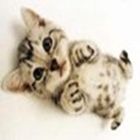 猫头像素描可爱