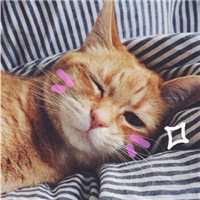 可爱黑猫头像女生头像女生