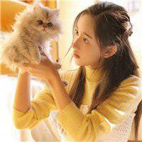 动漫高冷黑猫头像女生