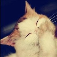 哆啦a梦静宜头像