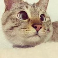 哆啦a梦头像超萌组图