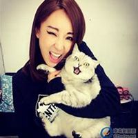 女生抱猫头像吧