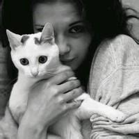 欧美男生抱英短猫头像