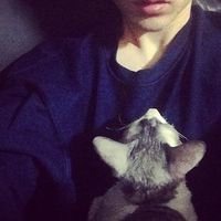 动漫女生抱着猫头像