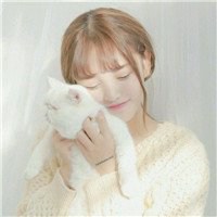 白衬衫抱猫头像
