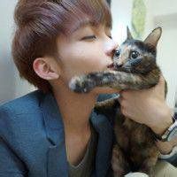 情侣抱猫头像动漫头像