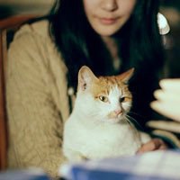 动漫短发女生抱猫头像个性网