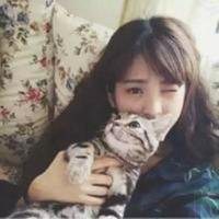 动漫女生抱着猫头像