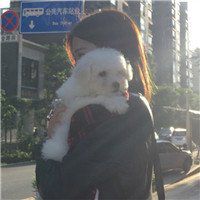 二次元抱猫头像