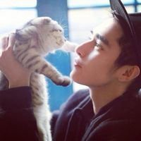 欧美男抱猫头像