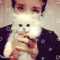 抱猫头像侧面女