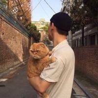 男生抱猫头像非主流