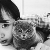 小清新女生抱猫头像唯美图片