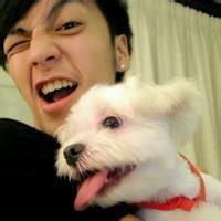 欧美范情侣抱猫头像