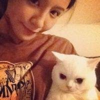 白衬衫纹身抱猫头像