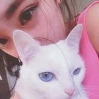 动漫男抱着一只猫头像