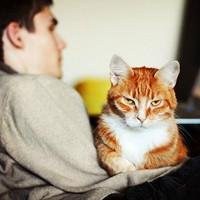 动漫男生抱白猫头像