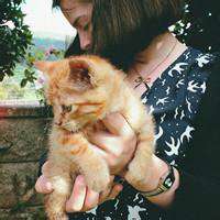 可爱小孩抱猫头像图片卡通图片