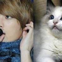 二次元女头抱猫头像