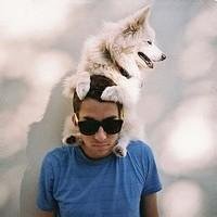 高颜值美女抱猫头像