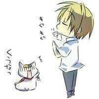 欧美微信抱猫头像图片