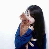 欧美男生抱英短猫头像