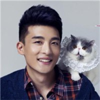 欧美范情侣抱猫头像