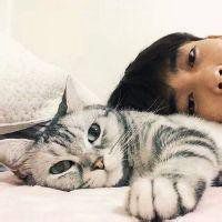 动漫男生抱白猫头像