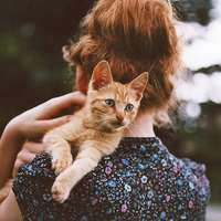 个性网男生抱着猫头像