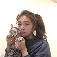 动漫情侣抱猫头像图片