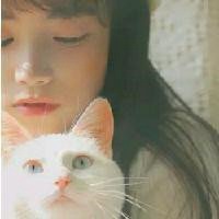 动漫短发女生抱猫头像个性网