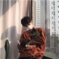 女生抱猫头像情侣头像个性网